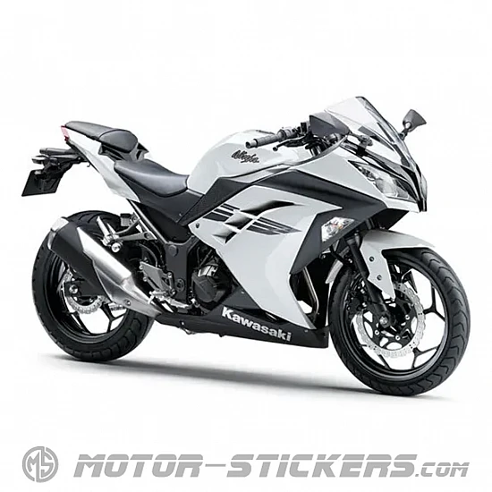 Kawasaki Ninja 300 2017
