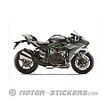 Kawasaki NINJA H2 | ZX1000 Carbon 2021