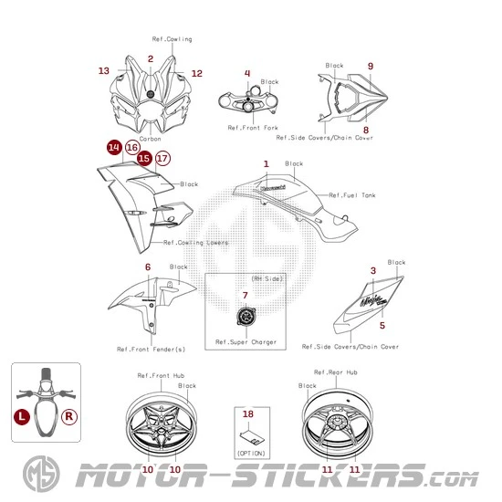 Kawasaki NINJA H2 | ZX1000 Carbon 2024
