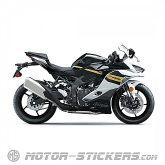 Kawasaki NINJA ZX-4RR 2026 decals