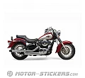 Kawasaki VN800 Classic 1996