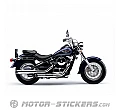 Kawasaki VN800 Classic 2004