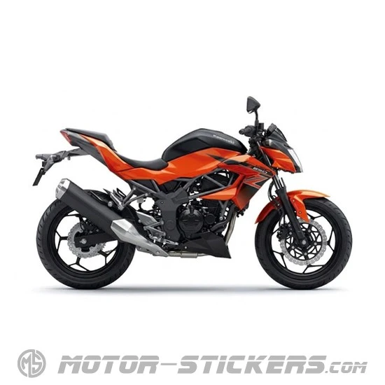 Kawasaki Z250SL | BR250 2016