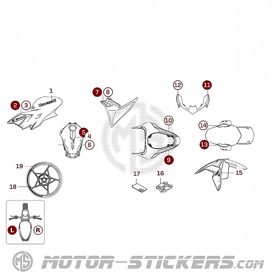 Kawasaki Z900 2023