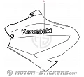 Kawasaki Z900 2025
