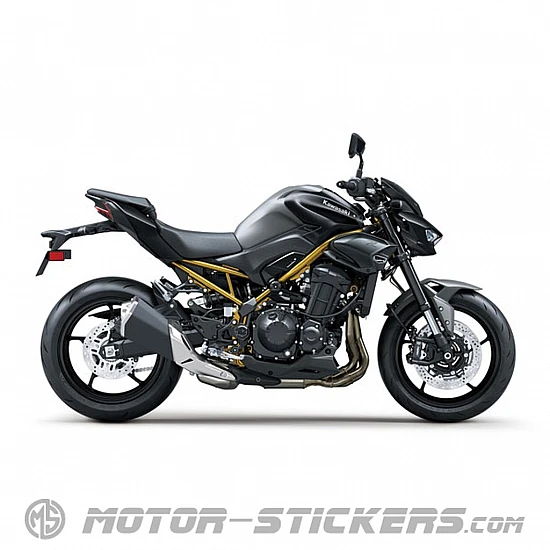 Kawasaki Z 900 2026