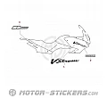 Suzuki DL 1000 V-Strom 2003