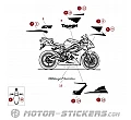 Triumph Daytona 675 2010