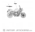 Triumph Street Triple 675 2009