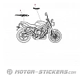 Triumph Street Triple 675 2011