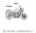 Triumph Street Triple 675 2012