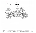 Triumph Street Triple 675 2013