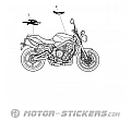 Triumph Street Triple 675 R 2011