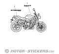 Triumph Street Triple 675 R 2012